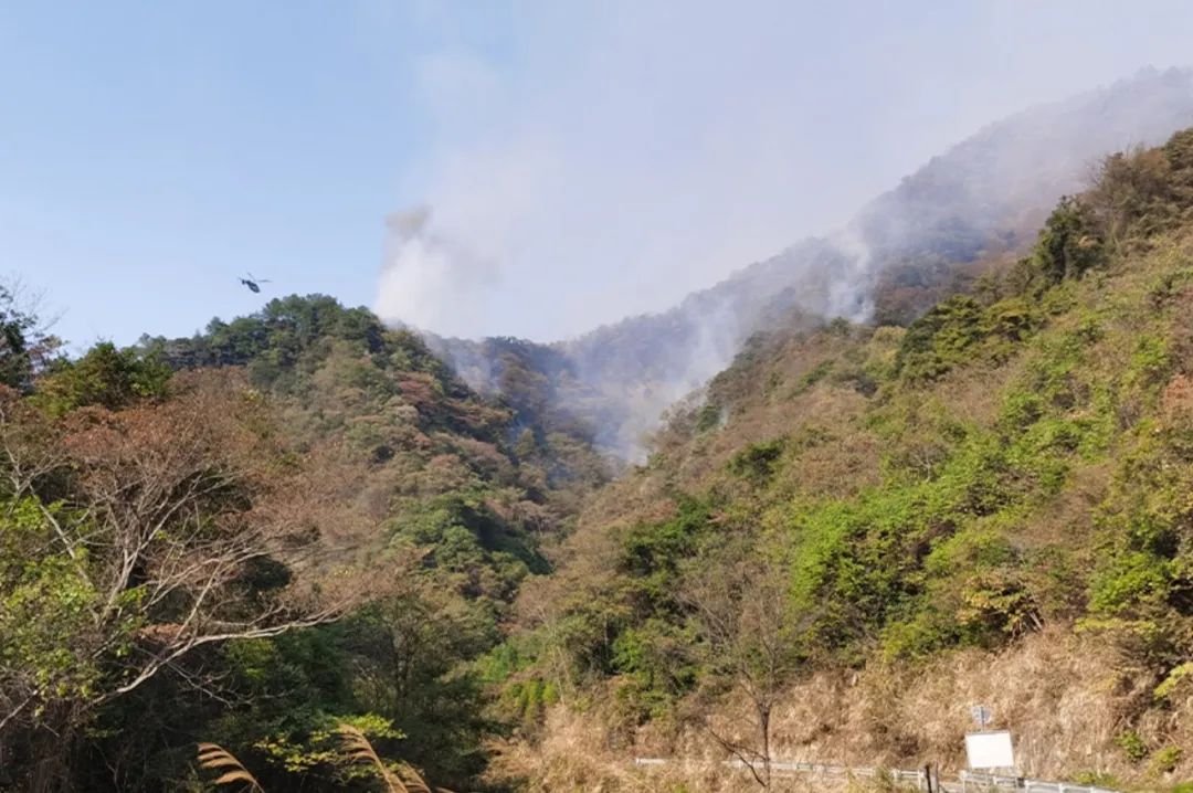 汉讯自组网设备在新田森林火灾中的应用(图1)